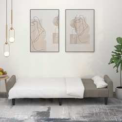 vidaXL Dvivietė sofa-lova, &scaron;viesiai pilkos spalvos, aksomas
