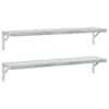 vidaXL seinariiulid 2 tk, 100x23,5 cm, h&otilde;bedane, roostevaba teras