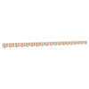 Orange_and_grey