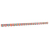Orange_and_grey