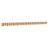 Yellow_and_grey
