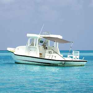 Razširljivo senčilo za T-Top antracit 170x170x(115-183) cm