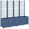 Blue_grey