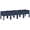 Blue_grey