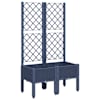 Blue_grey