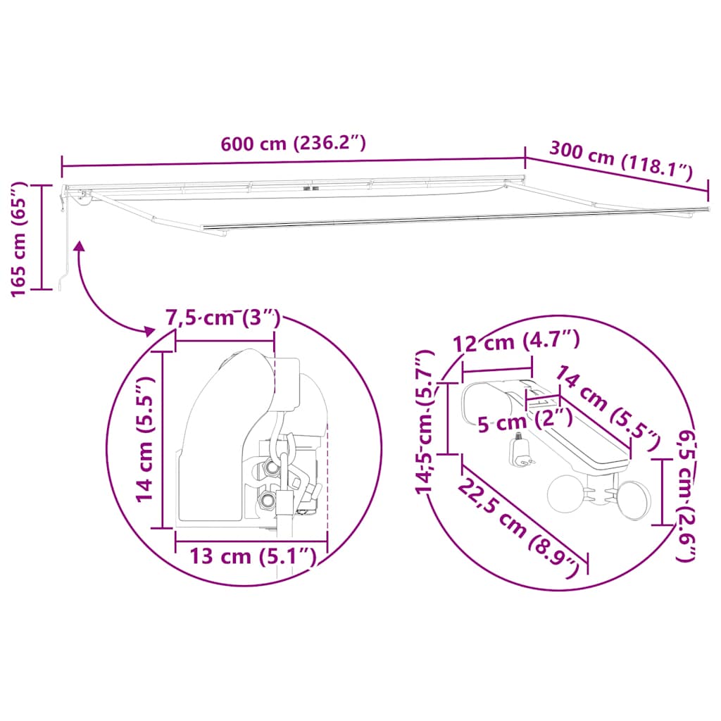 Luifel automatisch uittrekbaar met LED 600x300 cm bruin image 17