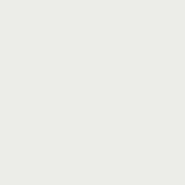 Toote pisipilt  12 / 13