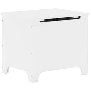 Úložný box s víkem RANA bílý 60x49x54 cm masivní borové dřevo - obrázek 2