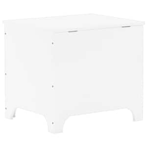 Úložný box s víkem RANA bílý 60x49x54 cm masivní borové dřevo - obrázek 6