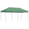 vidaXL kokkupandav pop-up peotelk, roheline, 580x292x315 cm