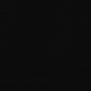 Skládací party stan pop-up se 4 bočními stěnami černý - obrázek 9