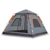 Grey_and_orange