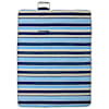 Blue_and_white