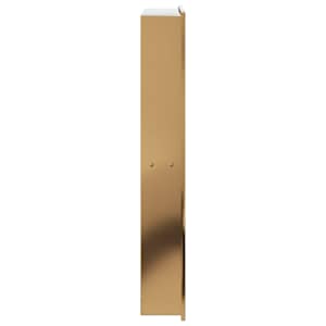 Nika do sprchového koutu broušená zlatá 32x62x9cm nerezová ocel - obrázek 5