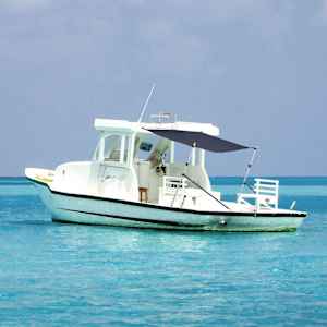 Razširljivo senčilo za T-Top modro 170x170x(113-182,5) cm