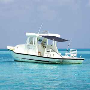 Razširljivo senčilo za T-Top mornar. modro 174x205x(115-194) cm