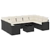 Black_and_cream_white