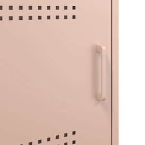 TV skříňka růžová 100,5 x 39 x 50,5 cm ocel - obrázek 12