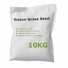 vidaXL muruseeme 10 kg