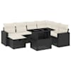 Black_and_cream