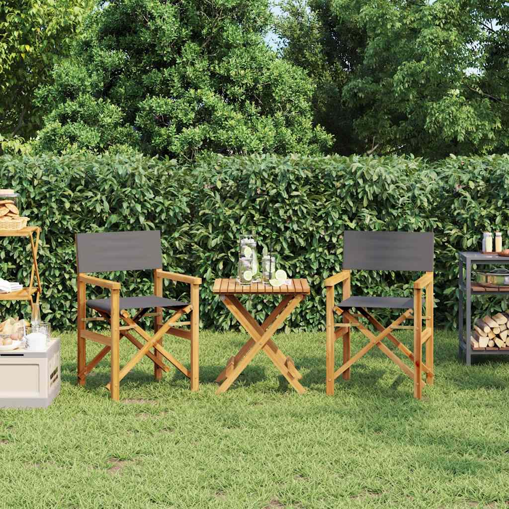 vidaXL Regiestühle 2 Stk. Klappbar Grau Massivholz Teak
