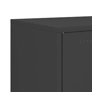 Skříň highboard černá 100,5 x 39 x 107 cm ocel - obrázek 12