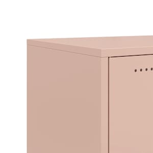 TV skříňka růžová 100,5 x 39 x 43,5 cm ocel - obrázek 11