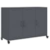 vidaXL puhvetkapp, antratsiithall, 100,5x39x72 cm, teras