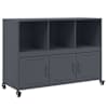vidaXL puhvetkapp, antratsiithall, 100,5x39x72 cm, teras