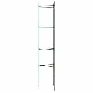 Podpěrná klec pro rajčata 2 ks 154 cm ocel a PP - obrázek 6