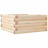 Natural_pine