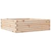 Natural_pine
