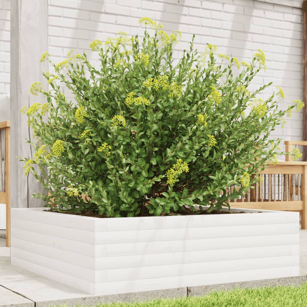 vidaXL Jardinieră de grădină, alb, 80x80x23 cm, lemn masiv de pin