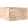 Natural_pine