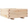 Natural_pine