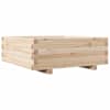 Natural_pine
