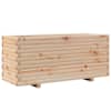 Natural_pine
