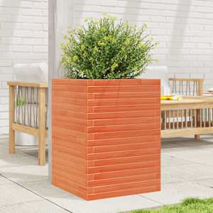 Vrtno cvetlično korito vošč. rjavo 50x50x68,5 cm trdna borovina