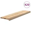 vidaXL trepiastmed 20 tk, 100x30x2 cm, t&ouml;&ouml;tlemata tammepuit