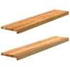 vidaXL aknalauad 2 tk, helepruun, 100 x 20 x 2 cm, toekas tammepuit