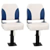 Blue_and_white