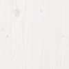 Toote pisipilt  14 / 16