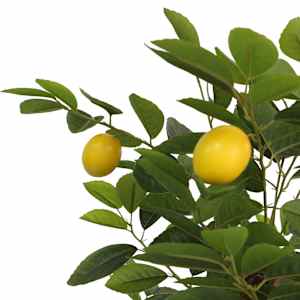 Umělý citronovník se 3 kmínky zelený 85 cm PP - obrázek 4
