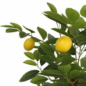 Umělý citronovník se 3 kmínky zelený 120 cm PP - obrázek 4