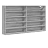 vidaXL vitriinkapp, hall Sonoma tamm, 100x15x58 cm, tehispuit
