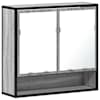 vidaXL vannitoa peegelkapp hall Sonoma 65x20x60 cm ehituspuit