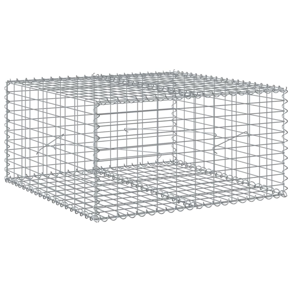 vidaXL Gabionový koš s víkem 100 x 100 x 50 cm pozinkované železo