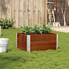 Dark_brown
