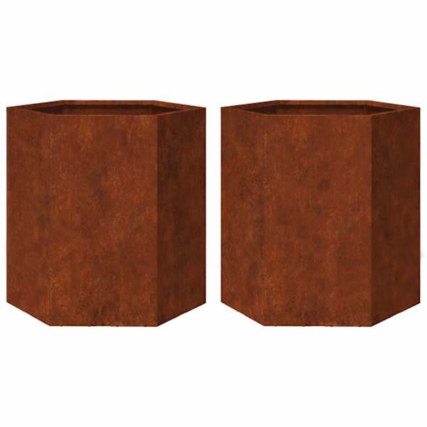 vidaXL aia taimekastid 2tk kuusnurkne 46x40x45cm ilmastikukindel teras