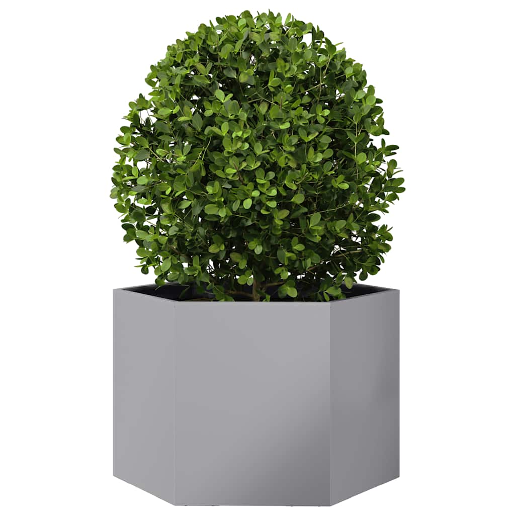 vidaXL Plantenbak zeshoek 69x60x45 cm gegalvaniseerd staal afbeelding